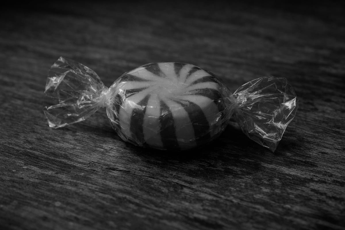 Janie and The Gray: Part 22